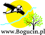 2015_Bogucin_logo_150